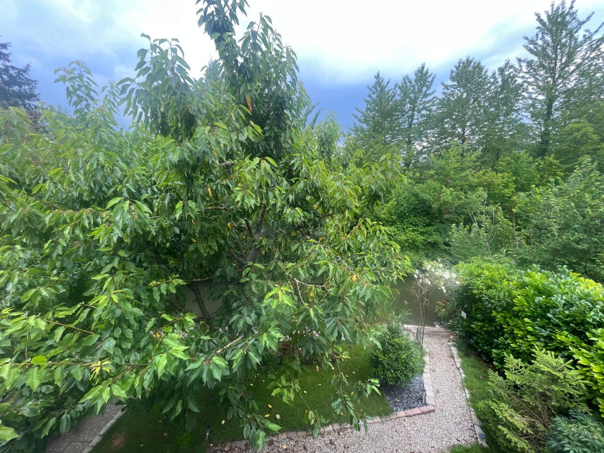 Entre Ville & Campagne Plobsheim Екстер'єр фото